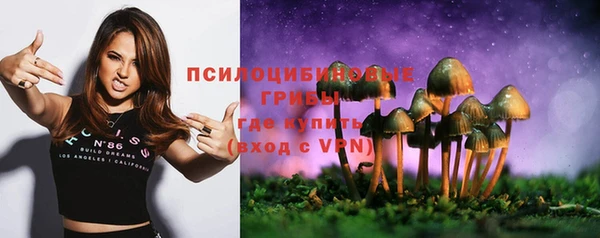 марки nbome Пересвет